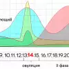 Норма женских гормонов - таблица по фазе цикла и возрасту