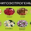 Препараты фитоэстрогенов для женщин в климаксе и фитоэстрогены в косметике